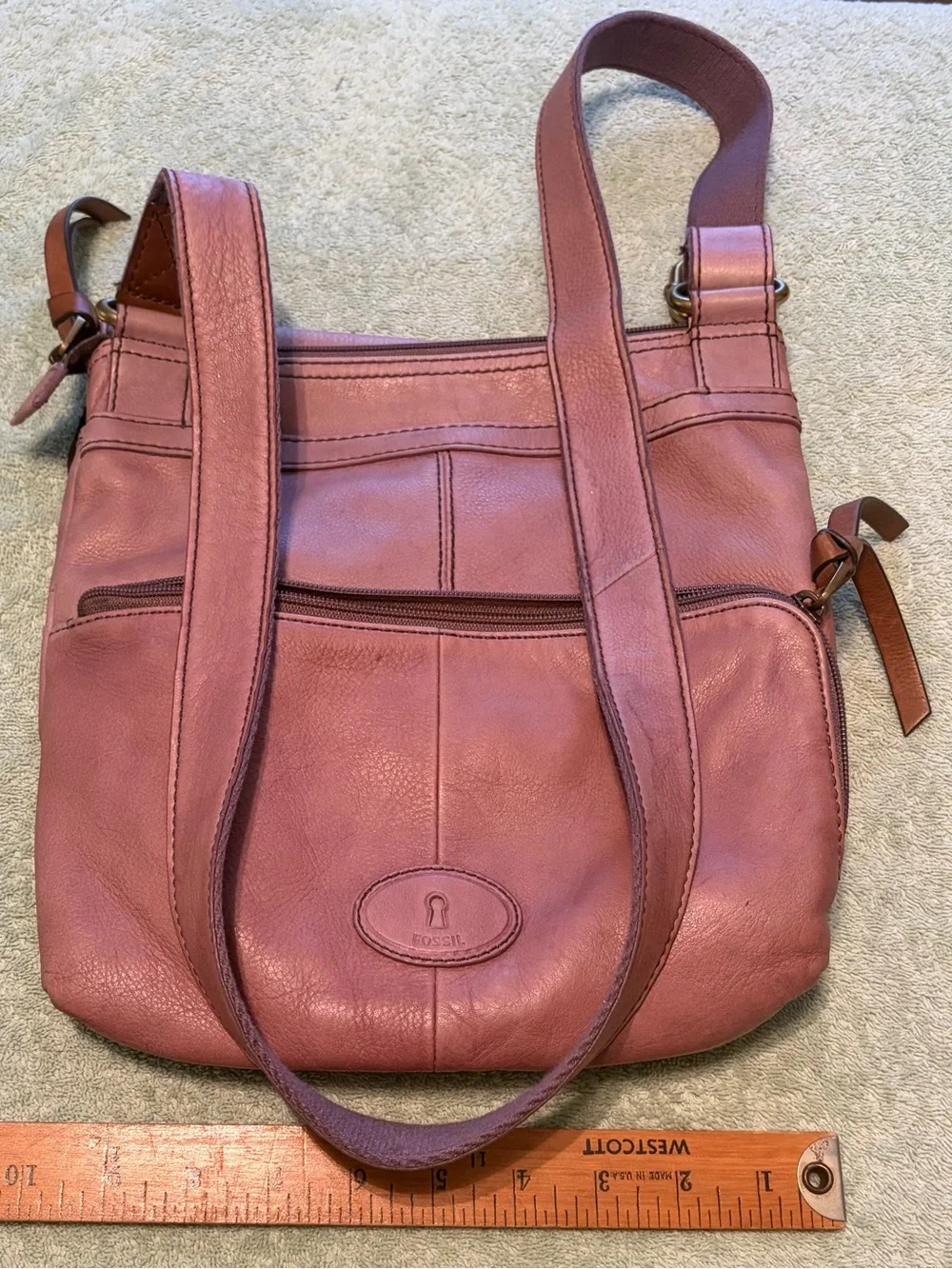 Fossil beautiful genuine